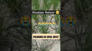 Pulwama kà 🥺 viral video today  No Water in fields  Kashmir life  kashmiri shorts  gulistan news [upl. by Htabmas253]