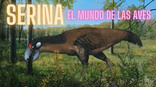 SERINA EL MUNDO DE LAS AVES La magia de la biología especulativa [upl. by Griseldis400]