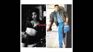 Adina Howard x Al B Sure  Freak Like Me Nite and Day Mashup [upl. by Nikaniki]