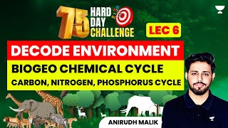 L6  Biogeo Chemical Cycle  Carbon Nitrogen Phosphorus Cycle  Environment Series  Anirudh Malik [upl. by Gersham168]