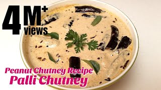 Palli Chutney  Peanut Chutney Recipe  How to make Chutney  Hyderabadi Ruchulu [upl. by Nessim]