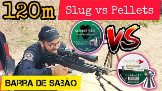 Slugs vs Pellets  A taca foi feia Beeman 13625 Bullpup [upl. by Enomys]