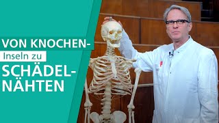 Warum haben Kinder mehr Knochen als Erwachsene  Stiftung Gesundheitswissen [upl. by Sivram104]