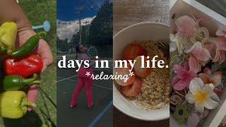 days in my life as a work from home girl in her 20s [upl. by Aneeres]