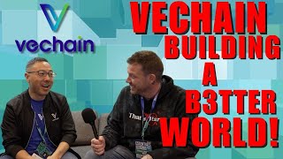 How To Earn With VeChain And Make The World A Better Place [upl. by Blodget]