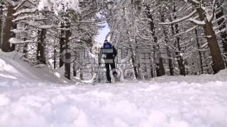 Mountain Hiking Man with Snowshoes Walking Winter Forest  Stock Footage [upl. by Mehalek]