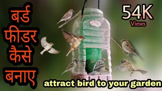 बर्ड फीडर कैसे बनाए  How to make bird feeder  DIY Bird Feeder [upl. by Narcho]