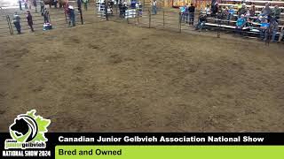 July 27 2024  Canadian JUNIOR Gelbvieh Association National Show Broadcast  Stettler AB [upl. by Quita]