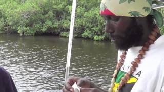 SNOOK FISHING IN NEGRIL JAMAICA [upl. by Naux]