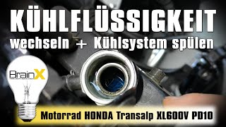 Kühlsystem reinigen Kühlmittel wechseln am Motorrad  Honda Transalp [upl. by Eisele550]