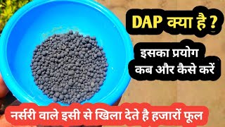 DAP fertilizer क्या है  और कैसे यूज करें DAP fertilizer benefits amp use [upl. by Elihu]