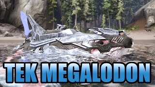 TEK MEGALODON UPDATE TERBARU DAN MEMBURU BURUNG  ARK SURVIVAL EVOLVED INDONESIA [upl. by Gona830]