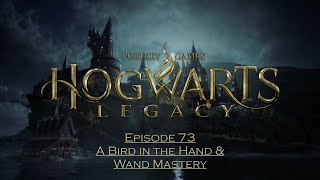 Hogwarts Legacy Episode 73 A Bird in the Hand amp Wand Mastery [upl. by Riamu556]