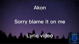 Akon  Sorry blame it on me Lyric video [upl. by Maximilien]