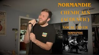 Chemicals Acoustic  Normandie  Vocal Cover  2021 [upl. by Salamone]