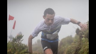 Golden Trail Championship  Azores Trail Run  Stage 3 RECAP 2MIN [upl. by Drona]