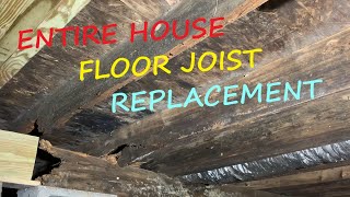 Rotten Floor Joist Replacement on a MASSIVE scale Entire House Floor Joist Replacement project [upl. by Enovi]