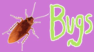 Bad Bugs  Insect Pests for Kids [upl. by Nevarc560]