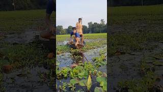 Uinqeu fishing video 2024  viralvideo fishing amazinganimals amazingfish [upl. by Enelyw991]