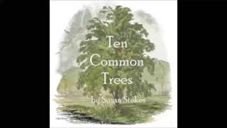 Ten Common Trees FULL Audiobook [upl. by Atikal]