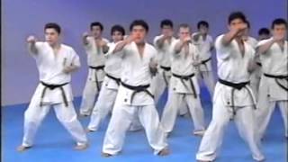 Kyokushin karate encyclopedia 1 [upl. by Irahs]