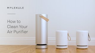 How to Clean Your Air Purifier  Molekule [upl. by Behn]