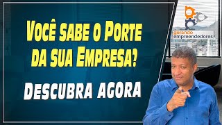 PORTE DE EMPRESA DESCUBRA O NÍVEL QUE SUA EMPRESA ESTÁ AGORA POR FUNCIONÁRIO FATURAMENTO E IBGE [upl. by Hurst]