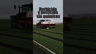 Un herbicida y pesticida sin químicos [upl. by Asimaj276]