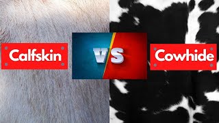 Calfskin Vs Cowhide  Which is Best amp Cheapest [upl. by Ardnaet]