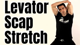 Levator Scapulae Stretch for Neck Pain Relief  San Diego Chiropractic [upl. by Benson846]