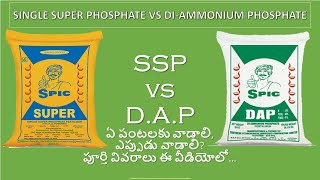 SSP vs DAP  Single Super Phosphate and Diammonium Phosphate Fertilizer Future Tech Agriculture [upl. by Olzsal]