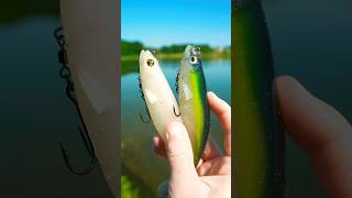 This Lure Catches MONSTER Bass… [upl. by Lisab]