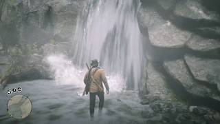 RDR 2 Poisonous Trail Map Location 03 [upl. by Gillett315]