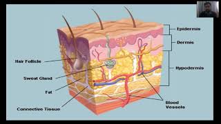 Pressure ulcer Bedsores decubitus ulcers or pressure sores in UrduHindi  Fundamental of Nursing [upl. by Aliehs591]