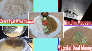 Special Daal Moong Chilke Wali  How to Make Split Green Lentils recipe Zeere Pyaz wale chawal [upl. by Ulric310]