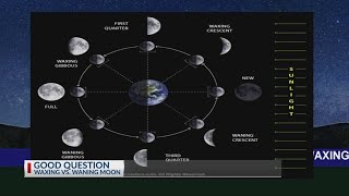 The Moon Cycle [upl. by Weaks]