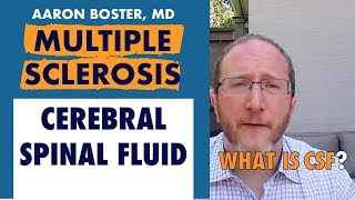 What is a Spinal Tap Cerebral Spinal Fluid and Multiple Sclerosis [upl. by Asher883]