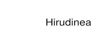 How to pronounce Hirudinea [upl. by Yna]