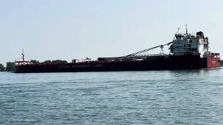 Canada Steamship Lines Baie Comeau Freighter 91224 [upl. by Hillary]