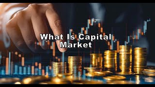 What is capital Market  Primary Market  Secondary Market [upl. by Akiria162]