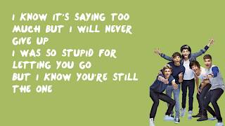 Still The One  One Direction Lyrics [upl. by Eslek]