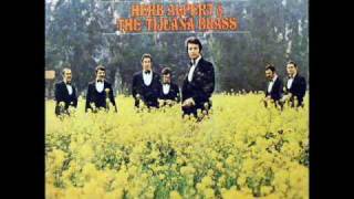 Herb Alpert amp The Tijuana Brass  Slick [upl. by Acirej]