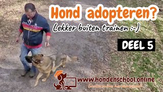 Hond adopteren deel 5  Lekker buiten trainen [upl. by Otrebide]