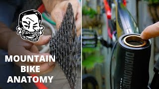 Mountain Bike Anatomy  50 parts in 5 minutes [upl. by Estell17]