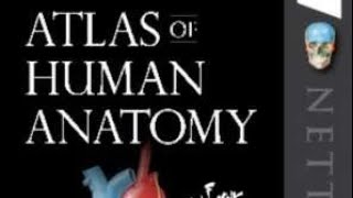 Netters Atlas Of Human Anatomy  REVIEW OF THE BOOK  2019 [upl. by Anitreb]