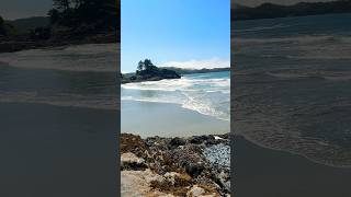 Strolling at the tofino Chesterman Beach  vancouverisland 🇨🇦 [upl. by Tatman338]