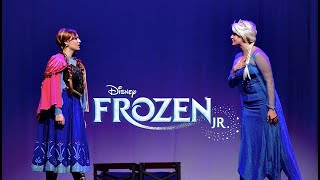 Frozen the Musical Vlog [upl. by Kyre991]