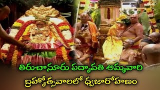 Dhwajarohanam at Tiruchanuru Brahmotsavam  తిరుచానూరు పద్మావతి అమ్మవారి బ్రహ్మోత్సవాలలో ధ్వజారోహణం [upl. by Ann]