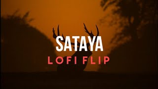 Tu Bhi Sataya Jayge Lofi Mix  Vishal Mishra  Afternight Vibes [upl. by Niatsirhc]