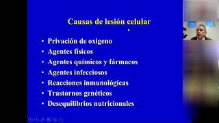 ADAPTACION CELULAR PT4 ROBBINS CAPITULO 2METAPLASIA LESION CELULAR Clase Dr Madrigal [upl. by Joelie954]